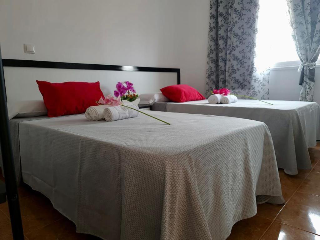 Franmay Apartments - 7 Modern Apartments Near The Beach & City, Perfect For Nomads, Travellers, Families, Watersports! Санта Мария Екстериор снимка