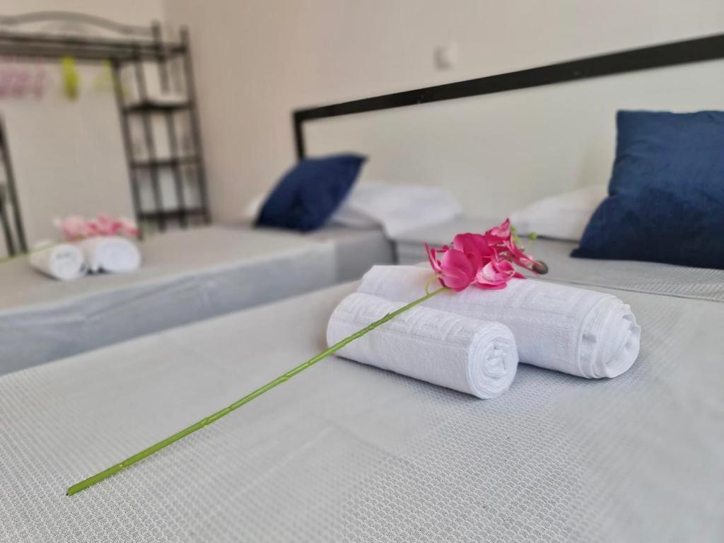 Franmay Apartments - 7 Modern Apartments Near The Beach & City, Perfect For Nomads, Travellers, Families, Watersports! Санта Мария Екстериор снимка